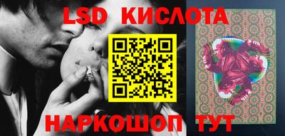 шишки Заволжье
