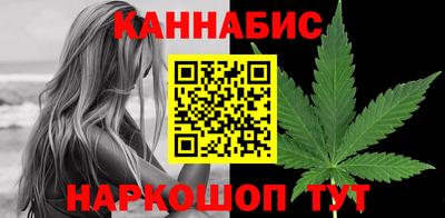 шишки Заволжье