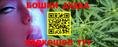 шишки Заволжье