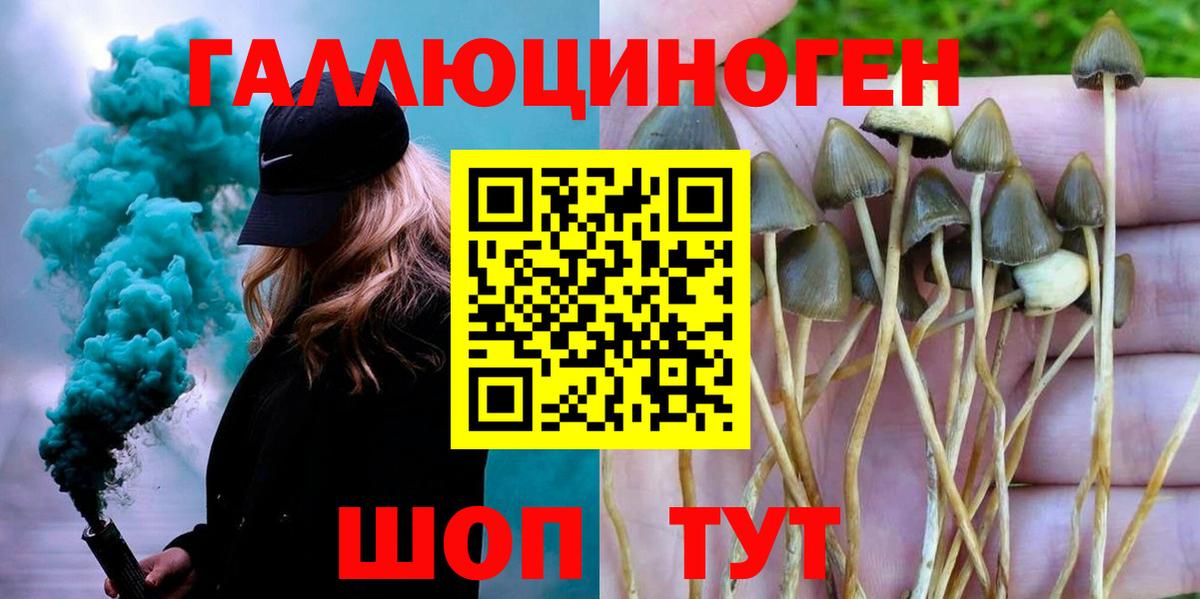 Дедовск  Галлюциногенные грибы Magic Shrooms  Вход с VPN 