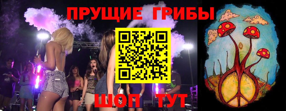 Галлюциногенные грибы Psilocybine cubensis Дедовск